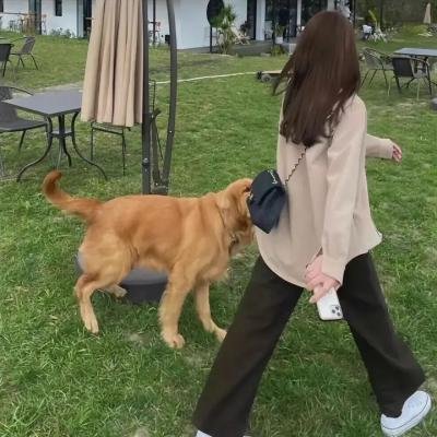 一个悲伤而美丽的世界